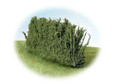 K+M Model Trees K+M Model Country Hedge  170MM 