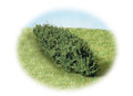 K+M Model Trees K+M Model Large Hedge  170MM 