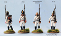  Perry Miniatures 28mm Napoleonic Austrian Infantry 1809-1815 