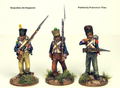  Perry Miniatures 28mm Napoleonic French Infantry Elite Companies 1807-1814 