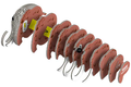 Eugy Mammoth Card 3D Puzzle   Eugy Mammoth Card 3D Puzzle