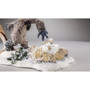 All Game Terrain Surface Boulders 