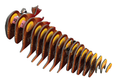 Eugy 107 Walrus Card 3D Puzzle 