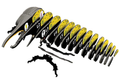  Eugy 112 Hercules Beetle Card 3D Puzzle 