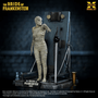  X-Plus 1/8 The Bride of Frankenstein 