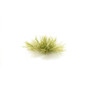  All Game Terrain Light Green Tufts 