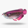 Eugy 118 Asian Arowana Card 3D Puzzle   Eugy 118 Asian Arowana Card 3D Puzzle