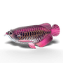 Eugy 118 Asian Arowana Card 3D Puzzle   Eugy 118 Asian Arowana Card 3D Puzzle