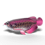  Eugy 118 Asian Arowana Card 3D Puzzle 