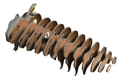  Eugy 120 Capybara Card 3D Puzzle 