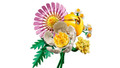 Lego Botanicals Petite Sunny Bouquet   Lego Botanicals Petite Sunny Bouquet