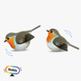  Eugy 137 Robin 'Wobbly' Card 3D Puzzle 
