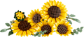 Lego Botanicals Sunflower Bouquet