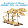  CaDA Dinosaur Fossils - Full Set with Eggs 