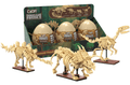  CaDA Dinosaur Fossils - Full Set with Eggs 