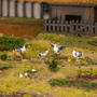  Victrix 28mm Pillage - Farm Animals 
