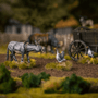  Victrix 28mm Pillage - Farm Animals 