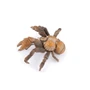  Papo Toys Coconut Crab 