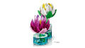  Lego Botanicals Water Lilies 
