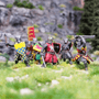  Victrix 28mm Warbands - Medieval 