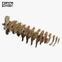  Eugy 145 Bighorn Card 3D Puzzle 