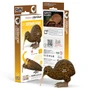  Eugy 091 Brown Kiwi Card 3D Puzzle 