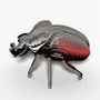  Eugy 111 Goliath Beetle Card 3D Puzzle 