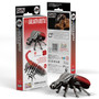  Eugy 111 Goliath Beetle Card 3D Puzzle 