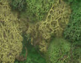  Javis Lichen Green Bulk Pack 