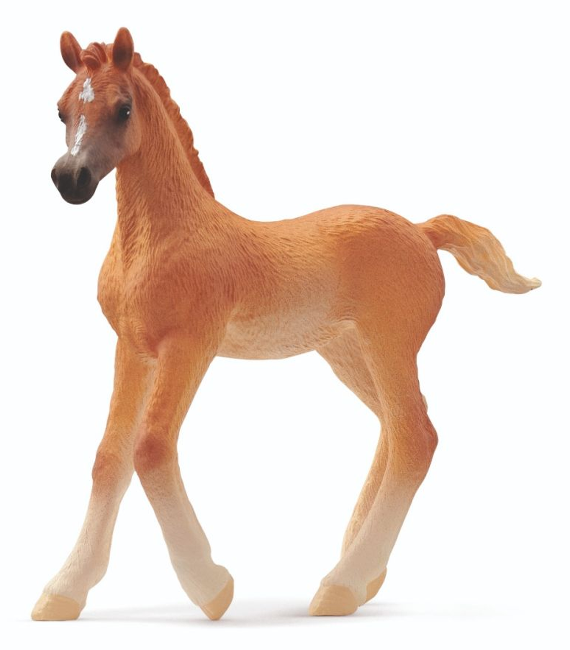 Schleich Horse Club Arabian Foal 2024 Wonderland Models SL13984 5 49   Schleich Horse Club Arabian Foal 2024  41588.1700220951 