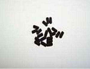 Thunder Tiger TS4N Screw 3x6mm Thunder Tiger TS4N Screw 3x6mm