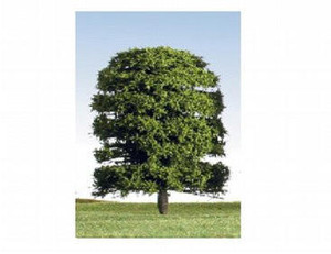 K+M Model Trees 125mm Single Deciduous Green Model Tree   K+M Model Trees 125mm Single Deciduous Green Model Tree