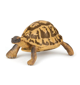 Papo Toys Hermann's Tortoise Papo Toys Hermann's Tortoise