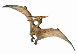 Papo Toys Pteranodon Dinosaur Papo Toys Pteranodon Dinosaur