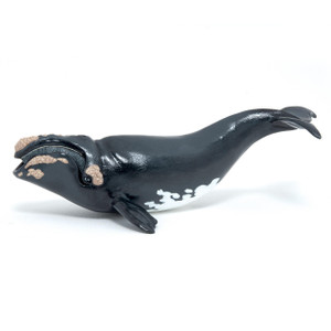 Papo Toys Right Whale   Papo Toys Right Whale