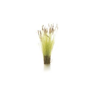 All Game Terrain Cattails Tufts All Game Terrain Cattails Tufts