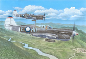 Special Hobby 1/72 Curtiss P-40N Warhawk / Kittyhawk Mk.IV Model Kit Special Hobby 1/72 Curtiss P-40N Warhawk / Kittyhawk Mk.IV Model Kit