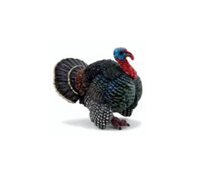 Papo Toys Turkey Papo Toys Turkey
