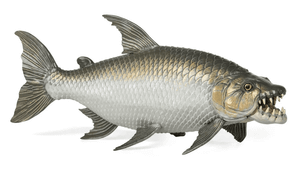  Papo Toys Goliath Tigerfish 