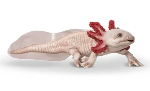  Papo Toys Axolotl 