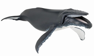 Papo Toys Humpback Whale