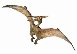 Papo Toys Pteranodon Dinosaur