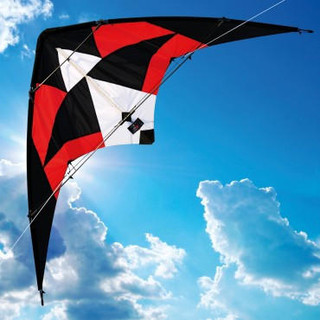 Brookite Kites Harrier Sport Kite