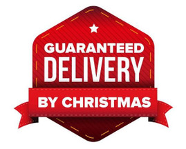 Last Chance for Christmas Delivery