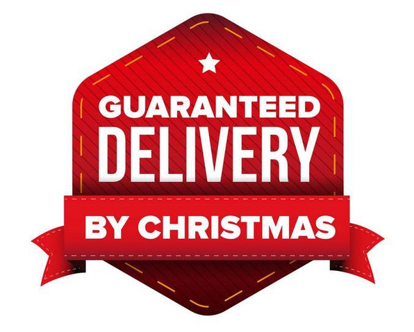 Last Chance for Christmas Delivery