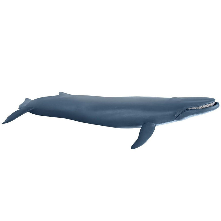  Papo Toys Blue Whale 