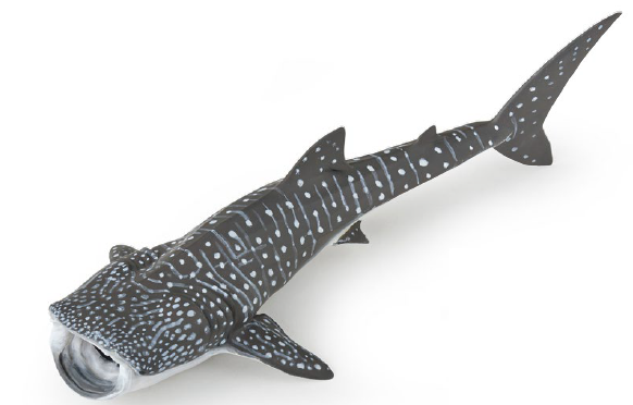 Papo Whale Shark Figure - Marine Animal Toy For Children Age 3 - View #10