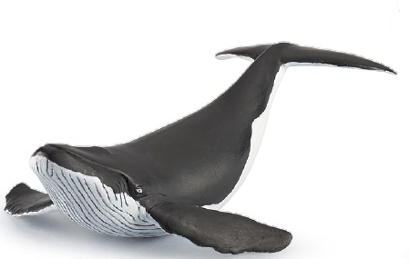  Papo Toys Humpback Whale Calf 