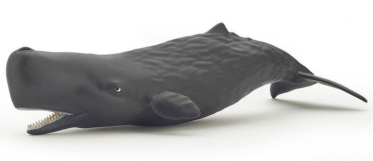  Papo Toys Sperm Whale Calf 