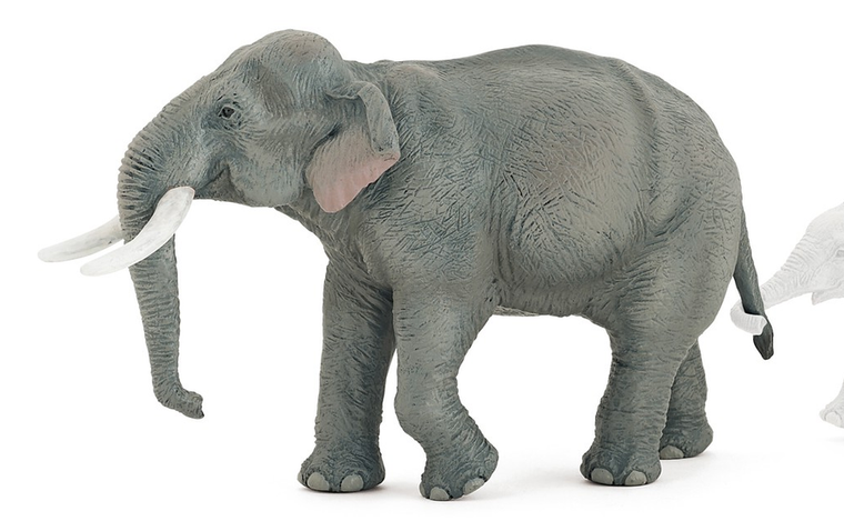  Papo Toys Asian Elephant 